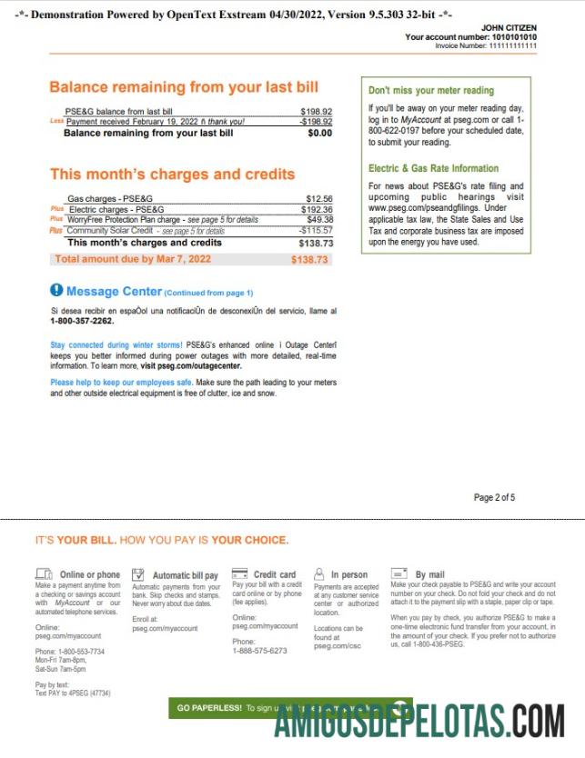 Em branco Conta de serviços públicos PSEG dos EUA, Nova York, modelo Word e PDF, 5 páginas 2
